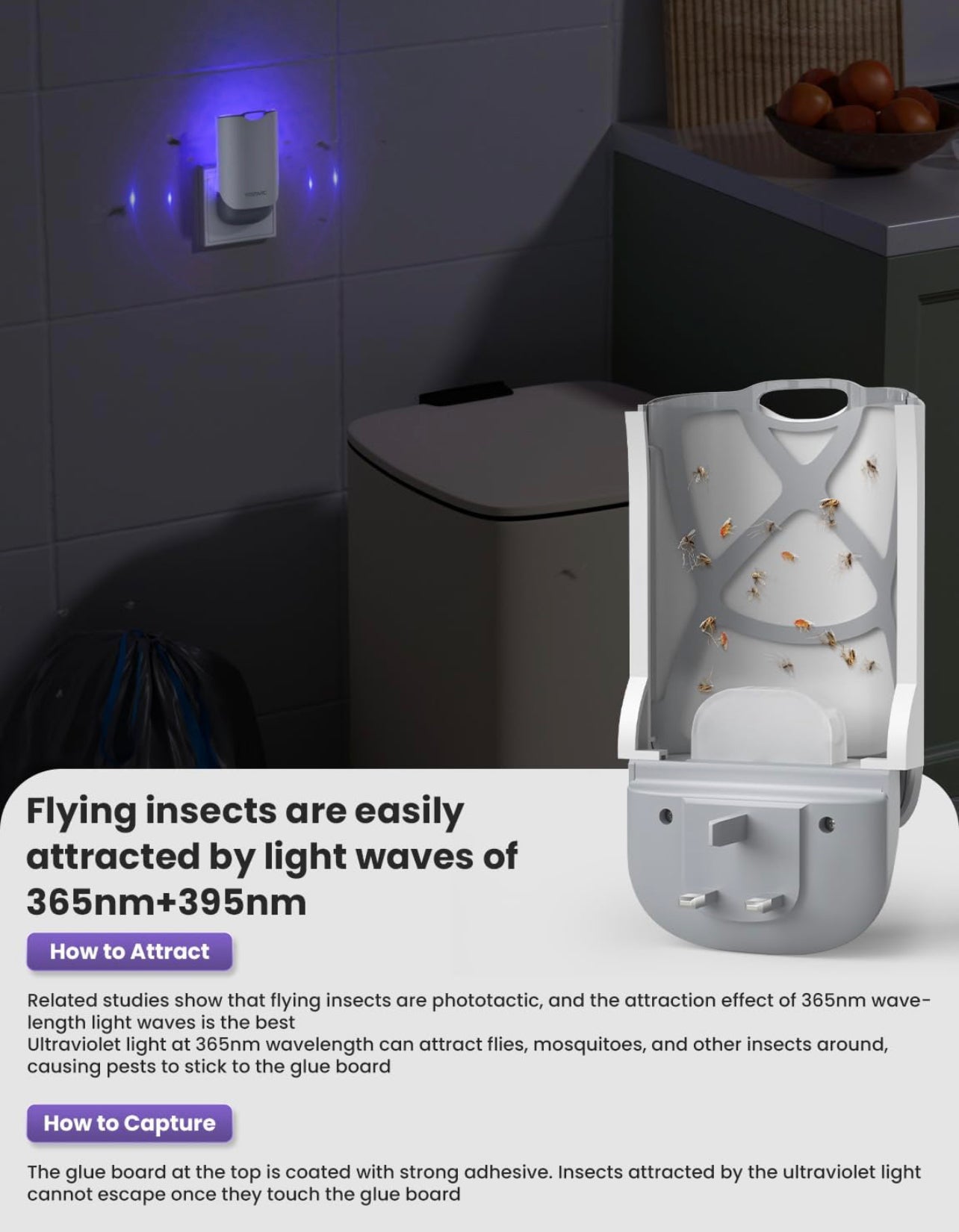 ChamalE-come electric indoor insect trap plugged into wall emitting blue light to attract and capture insects