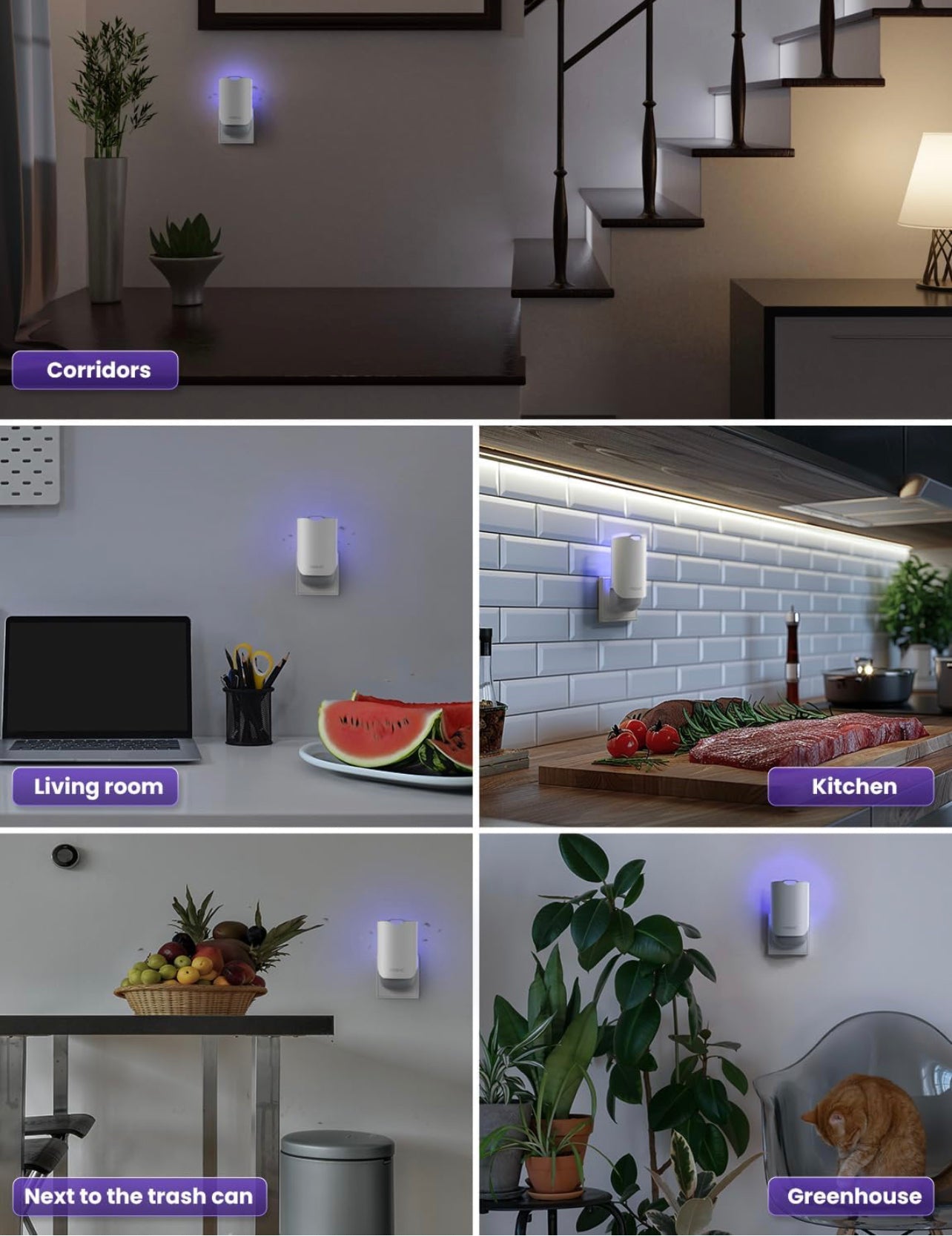 ChamalE-come electric indoor insect trap mounted in various rooms including corridors kitchen and greenhouse